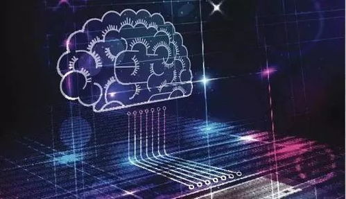 大數(shù)據(jù)抗疫 技術(shù)優(yōu)勢(shì)與基層智慧的雙重奏